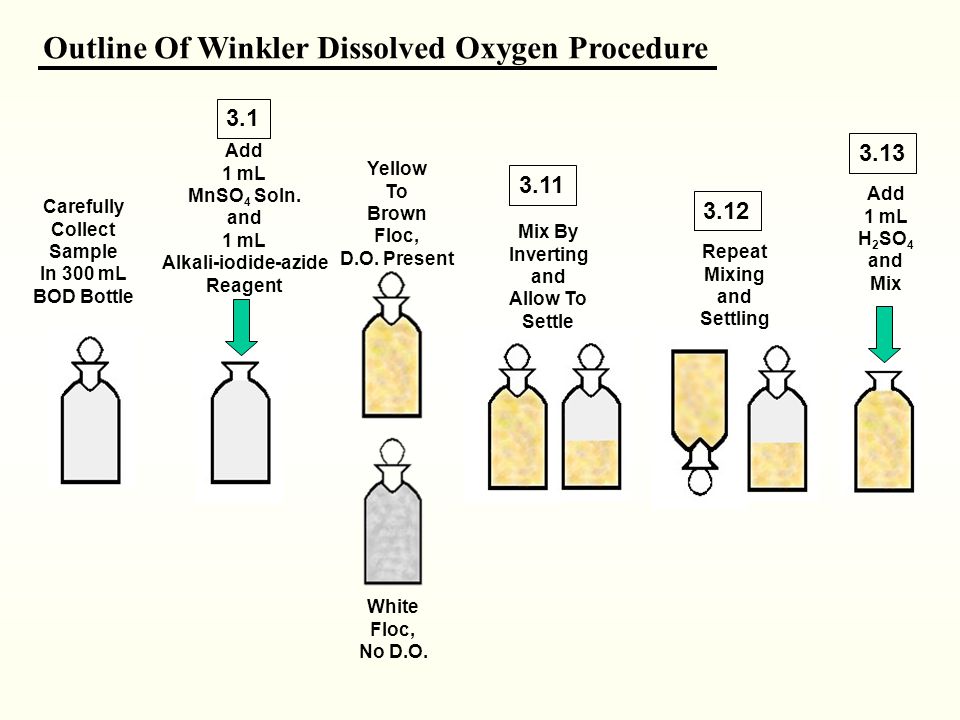 Dissolved Oxygen And Biochemical Oxygen Demand Analyses Ppt Video